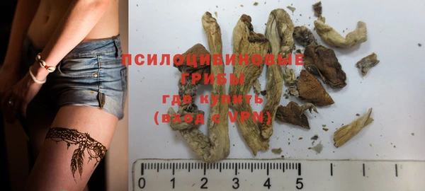 крисы Белоозёрский