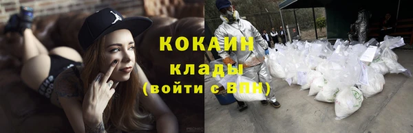 крисы Белоозёрский