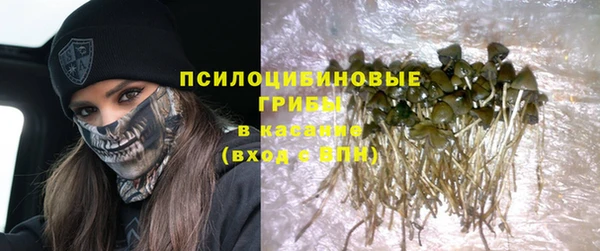 крисы Белоозёрский