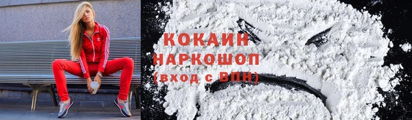 крисы Белоозёрский